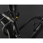 Tex–lock Antivol U - eyelet inkl. D-Lock - 120 cm - onyx black – Image 3