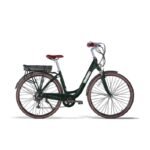 Vélo électrique Folio Brumaire