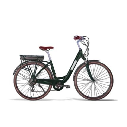 Vélo électrique Folio Brumaire