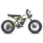 FAFREES F20 ULTRA 750W 20" Fat Bike E-Mountain Bike 48V 25Ah LG Batterie E-MTB – Bild 4